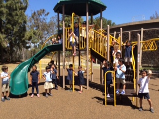 Pine Tree Park Playground Equipment Unveiling